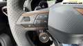 CUPRA Formentor VZ 2.0 4Drive Leder Panoram AHK Brembo Gris - thumbnail 26