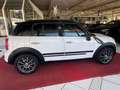 MINI Cooper SD Countryman All4 Aut. Chili+NAVI+PANO+ Blanc - thumbnail 6