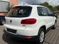 Volkswagen Tiguan Trend & Fun BMT / 1.Hand / NAVI / / SHZ Blanco - thumbnail 7