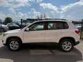 Volkswagen Tiguan Trend & Fun BMT / 1.Hand / NAVI / / SHZ Blanco - thumbnail 4