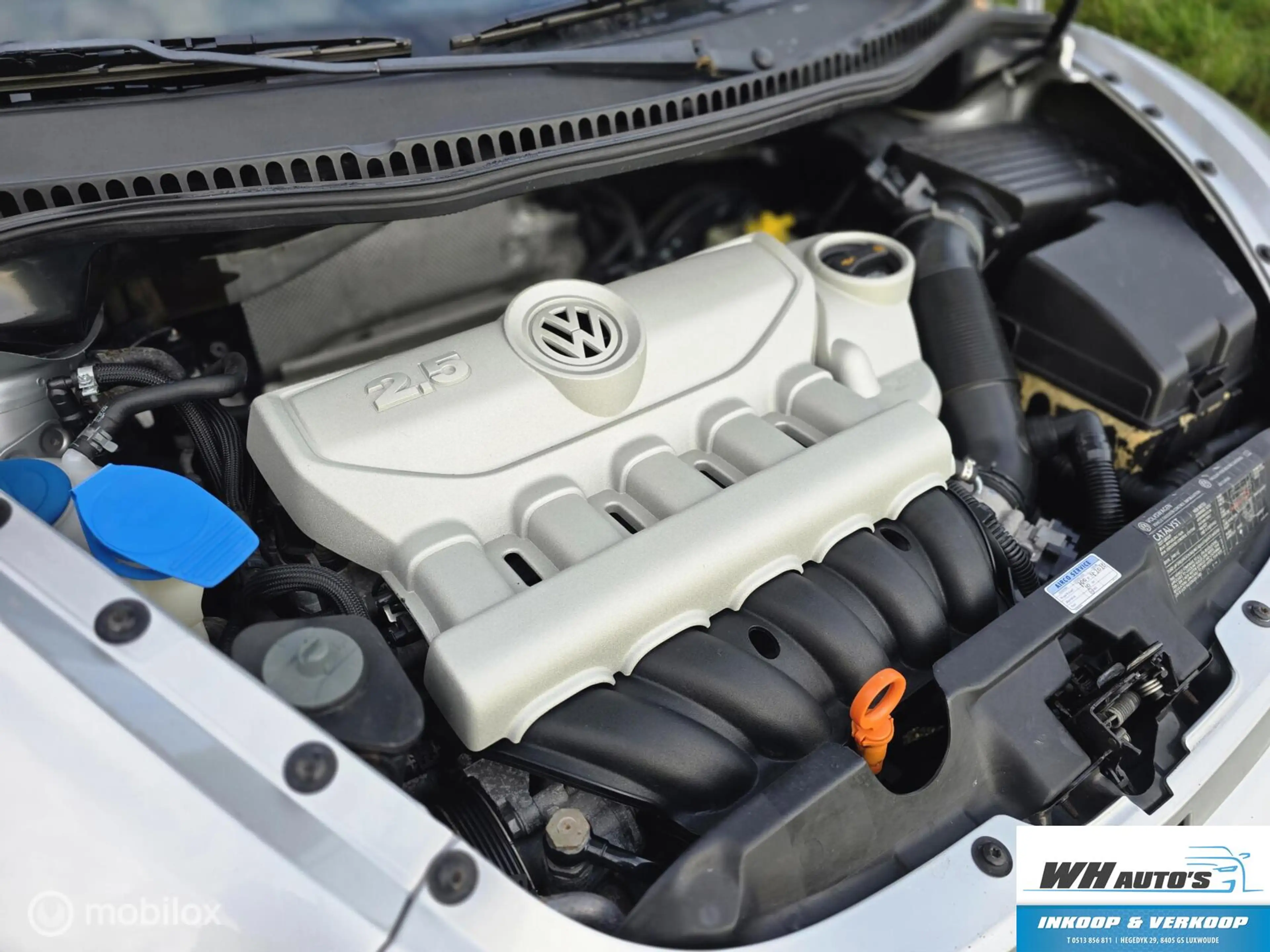 Volkswagen New Beetle 2.5 v5 UNIEK! | USA |Automaat — photo 2