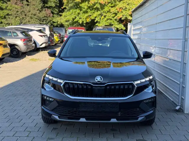 Skoda Kamiq view 2