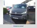 Volkswagen T6.1 Multivan 6.1 Comf. 2.0l TDI ACC PDC AHK SHZ 17" Grau - thumbnail 1