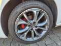 Citroen DS4 Weiß - thumbnail 4