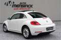 Volkswagen Beetle 1.2 TSI Design Leder/ Panoramadak/ Fender audio Wit - thumbnail 3