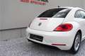 Volkswagen Beetle 1.2 TSI Design Leder/ Panoramadak/ Fender audio Wit - thumbnail 15