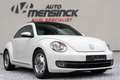 Volkswagen Beetle 1.2 TSI Design Leder/ Panoramadak/ Fender audio Wit - thumbnail 1
