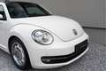 Volkswagen Beetle 1.2 TSI Design Leder/ Panoramadak/ Fender audio Wit - thumbnail 14