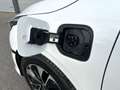 Kia Ceed SW / cee'd SW 1.6 PHEV 141pk, Carplay, Winterpakket, Fabrieksgar Blanc - thumbnail 4