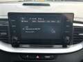 Kia Ceed SW / cee'd SW 1.6 PHEV 141pk, Carplay, Winterpakket, Fabrieksgar Blanc - thumbnail 19