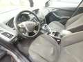 Ford Focus 5p 1.6 tdci Plus Business 115cv - thumbnail 3