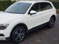 Volkswagen Tiguan Tiguan Diesel 2.0 TDI SCR 4Motion DSG Offroad Blanc - thumbnail 2