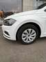 Volkswagen Polo Polo 5p 1.6 tdi Trendline 80cv Bianco - thumbnail 10