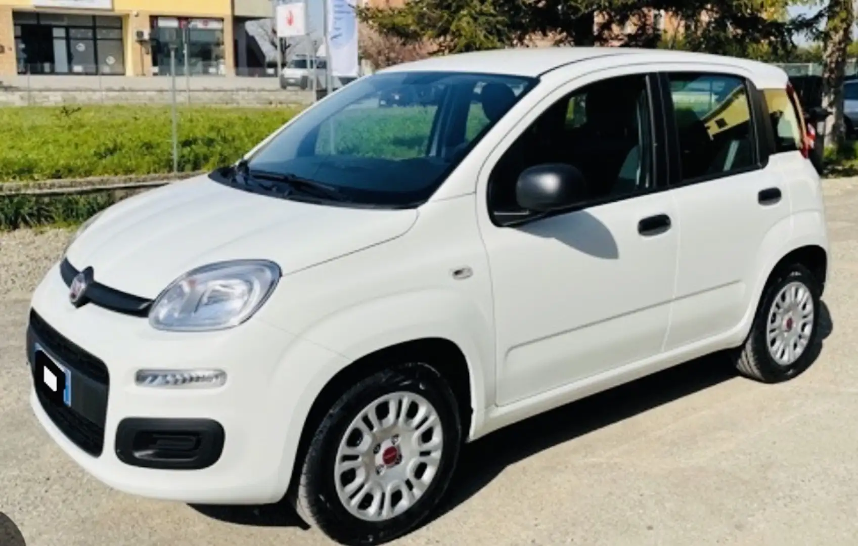 Fiat Panda 1.0 hybrid Easy s&s 70cv garanzia 24 mesi Wit - 1