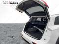 Audi Q5 TFSIe quattro advanced Pano Matrix RearView Weiß - thumbnail 13
