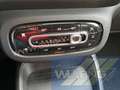 smart forFour electric drive EQ Passion Navi Panorama Argent - thumbnail 15