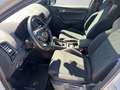Skoda Karoq 4x4 SPORTLINE TDI DSG Grau - thumbnail 10