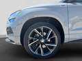 Skoda Karoq 4x4 SPORTLINE TDI DSG Grau - thumbnail 9
