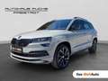 Skoda Karoq 4x4 SPORTLINE TDI DSG Grau - thumbnail 1