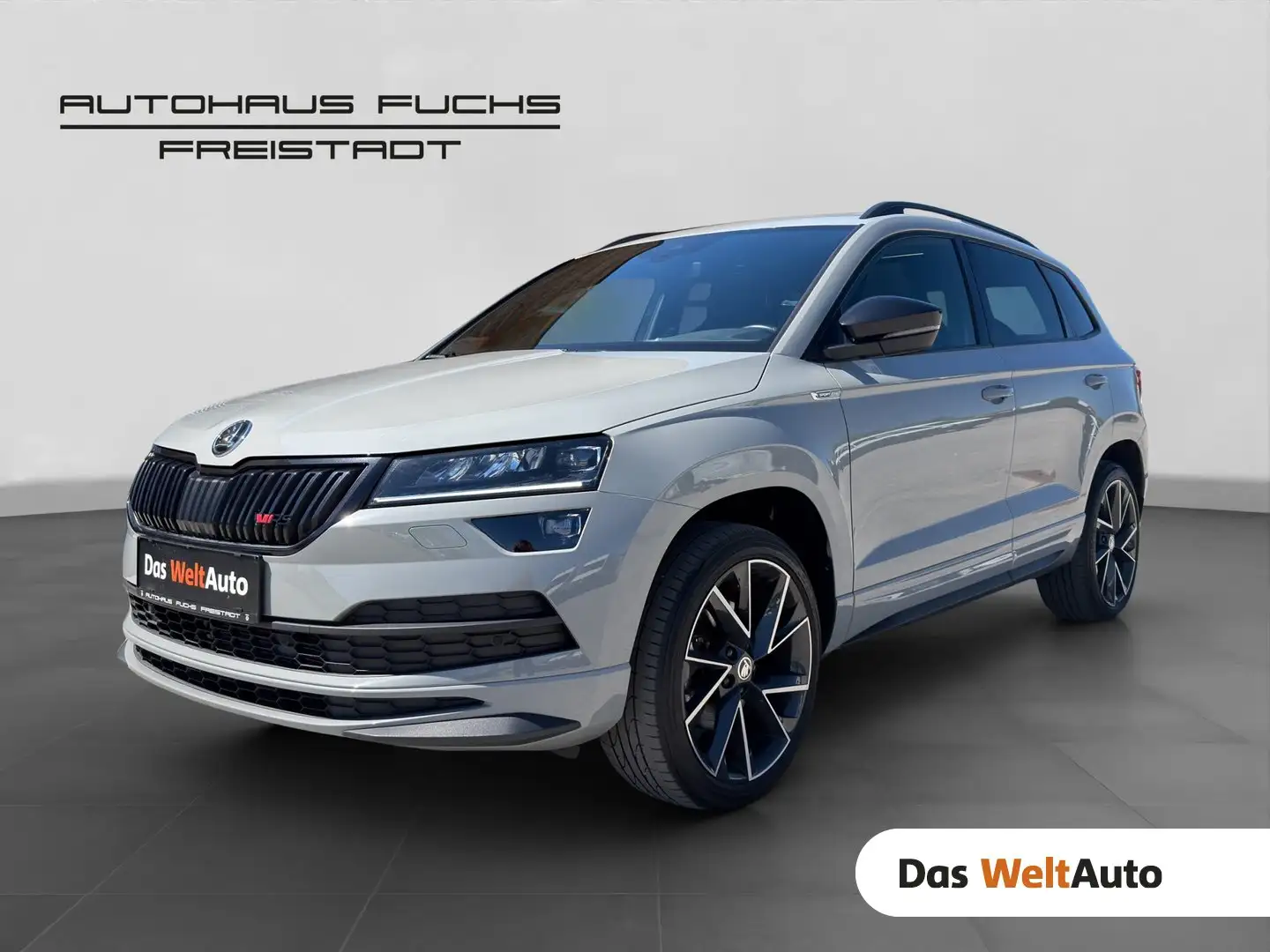 Skoda Karoq 4x4 SPORTLINE TDI DSG Grau - 1