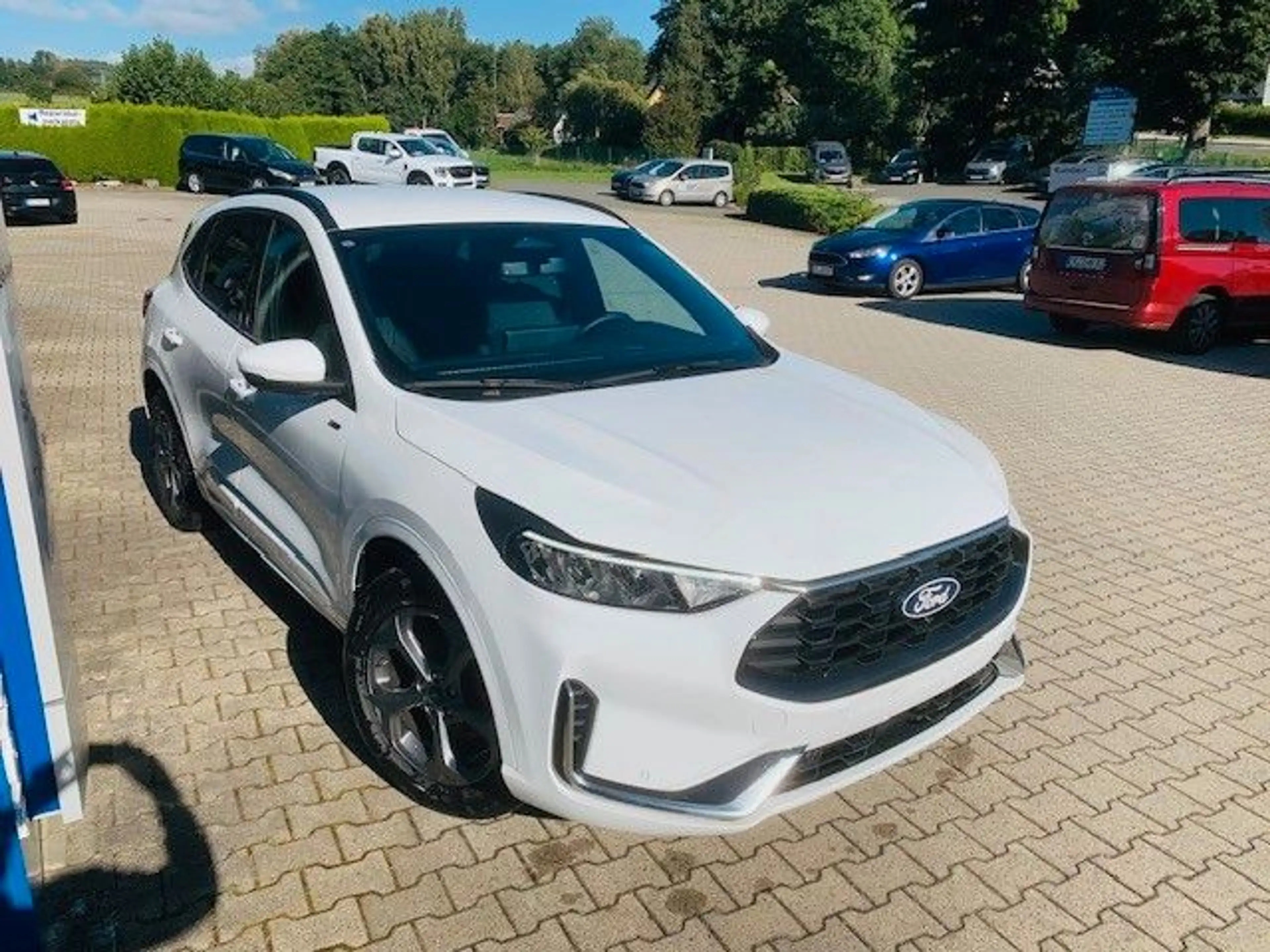 Ford Kuga ST-Line X AHZV 35% — photo 2