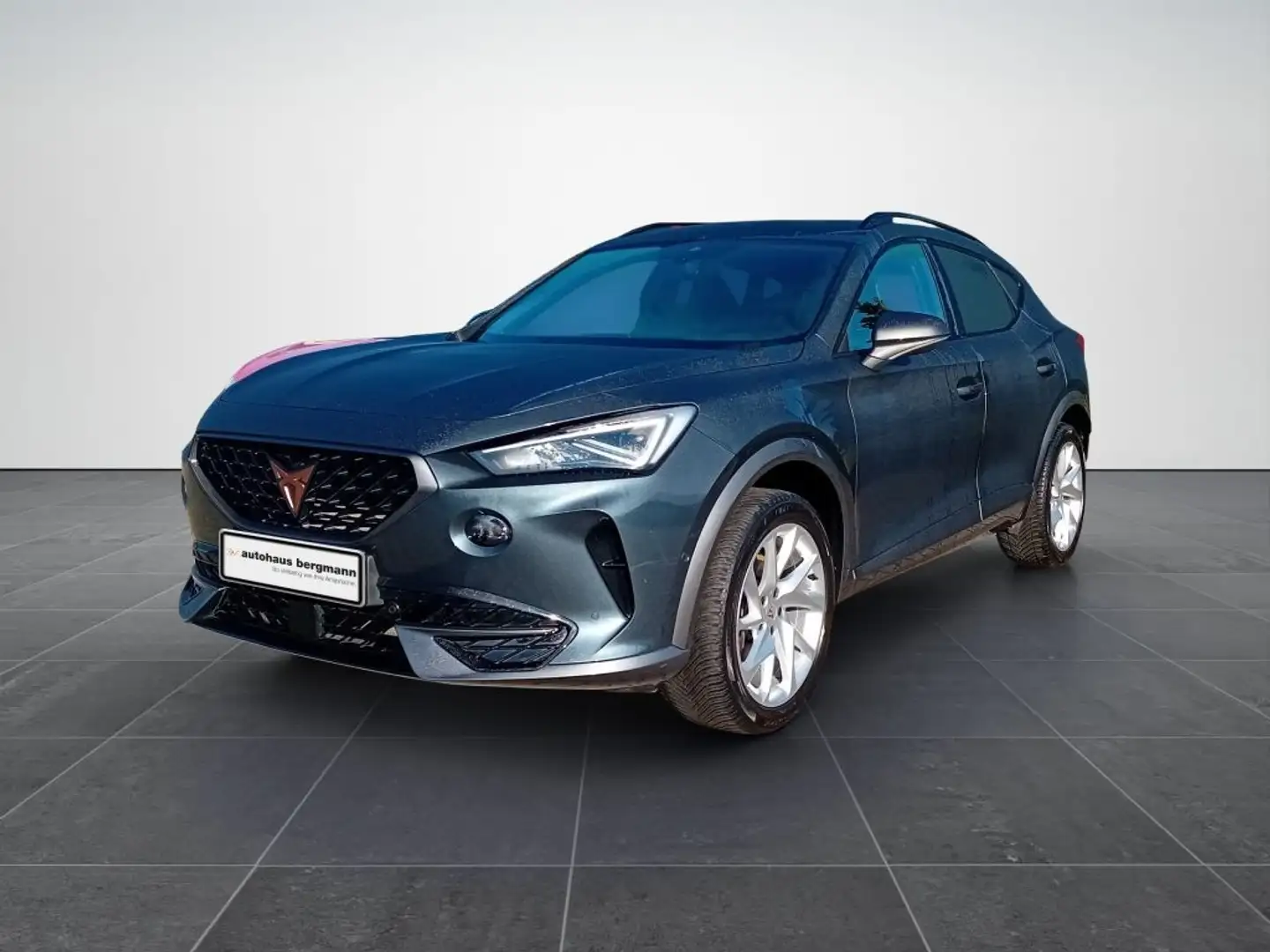 CUPRA Formentor 1.5 TSI DSG Gris - 1