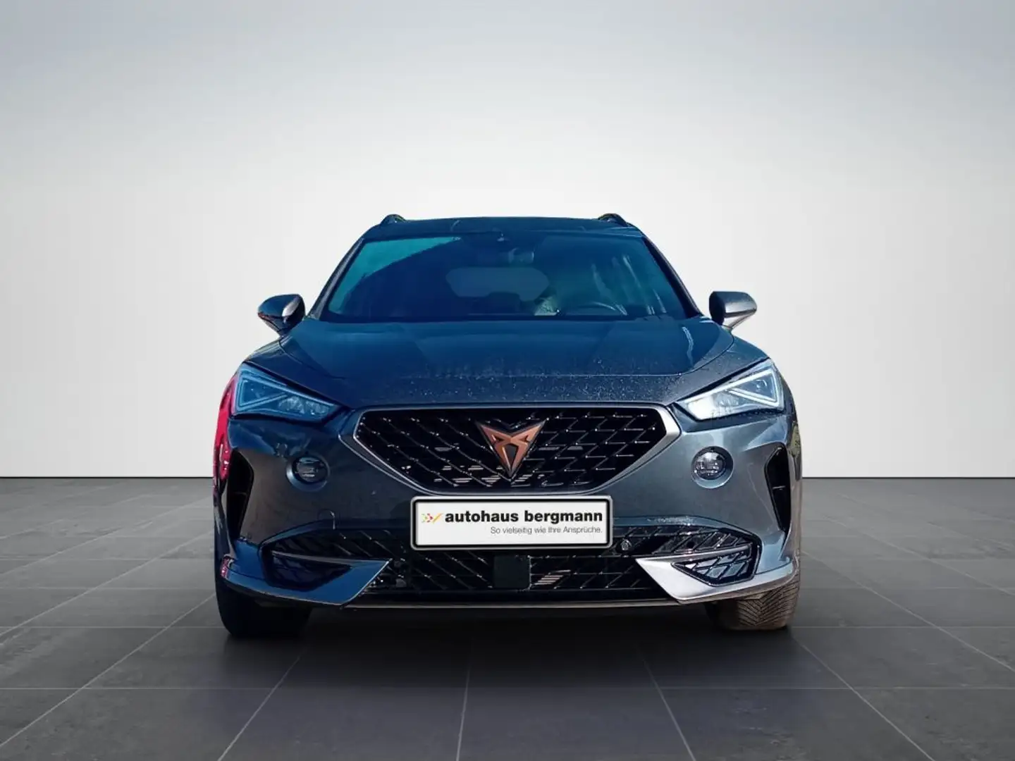 CUPRA Formentor 1.5 TSI DSG Gris - 2