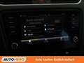 Skoda Octavia 2.0 TDI Scout 4x4 Grau - thumbnail 23