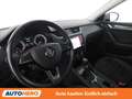 Skoda Octavia 2.0 TDI Scout 4x4 Grau - thumbnail 11