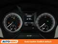 Skoda Octavia 2.0 TDI Scout 4x4 Grau - thumbnail 20