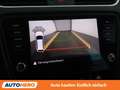 Skoda Octavia 2.0 TDI Scout 4x4 Grau - thumbnail 22