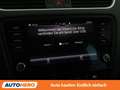 Skoda Octavia 2.0 TDI Scout 4x4 Grau - thumbnail 24