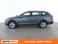 Skoda Octavia 2.0 TDI Scout 4x4 Grau - thumbnail 3