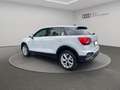 Audi Q2 35 TDI LED Navi Kamera Leder CarPlay Weiß - thumbnail 5