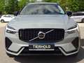 Volvo XC60 B4 Plus Dark 2WD AHK STANDHZ PANO ACC Grau - thumbnail 10