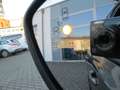 Ford Focus Turnier ST-Line AHK Gris - thumbnail 23