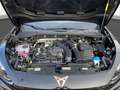 CUPRA Formentor 1.5 eTSI DSG AHK LED ACC 360° Navi Sen Negro - thumbnail 23