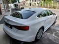 Audi A5 A5 Sportback 40 2.0tfsi mhev Business190cv stronic Blanc - thumbnail 6