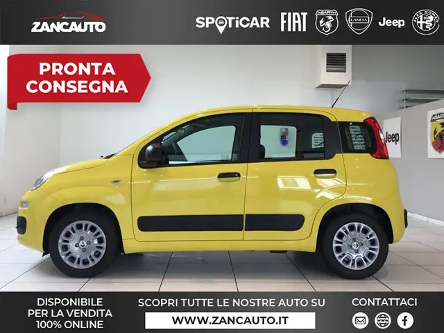Fiat Panda Panda 1.0 FireFly S&S Hybrid Pop 65cv