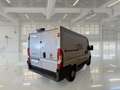Fiat Ducato 33 CH1 2.3 Multijet 140CV E6D-temp FURGONE - thumbnail 4