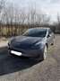 Tesla Model 3 Performance AWD 57,5kWh Grau - thumbnail 3
