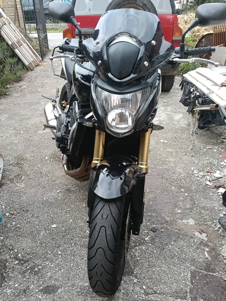 Honda Hornet