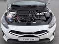 Kia Ceed SW / cee'd SW Ceed SW 1.5 T-GDI DCT Vision Komfort Plus Navi Weiß - thumbnail 21