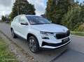 Skoda Karoq 1.5 TSI ACT Business Ed. Plus / Trekhaak / Cam Wit - thumbnail 3