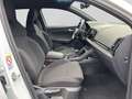 Skoda Karoq 2.0 TDI DSG 4x4 SPORTLINE STHZG ASSIST AHK Weiß - thumbnail 4