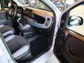 Fiat Panda Panda 1.2 Easy s Grigio - thumbnail 5