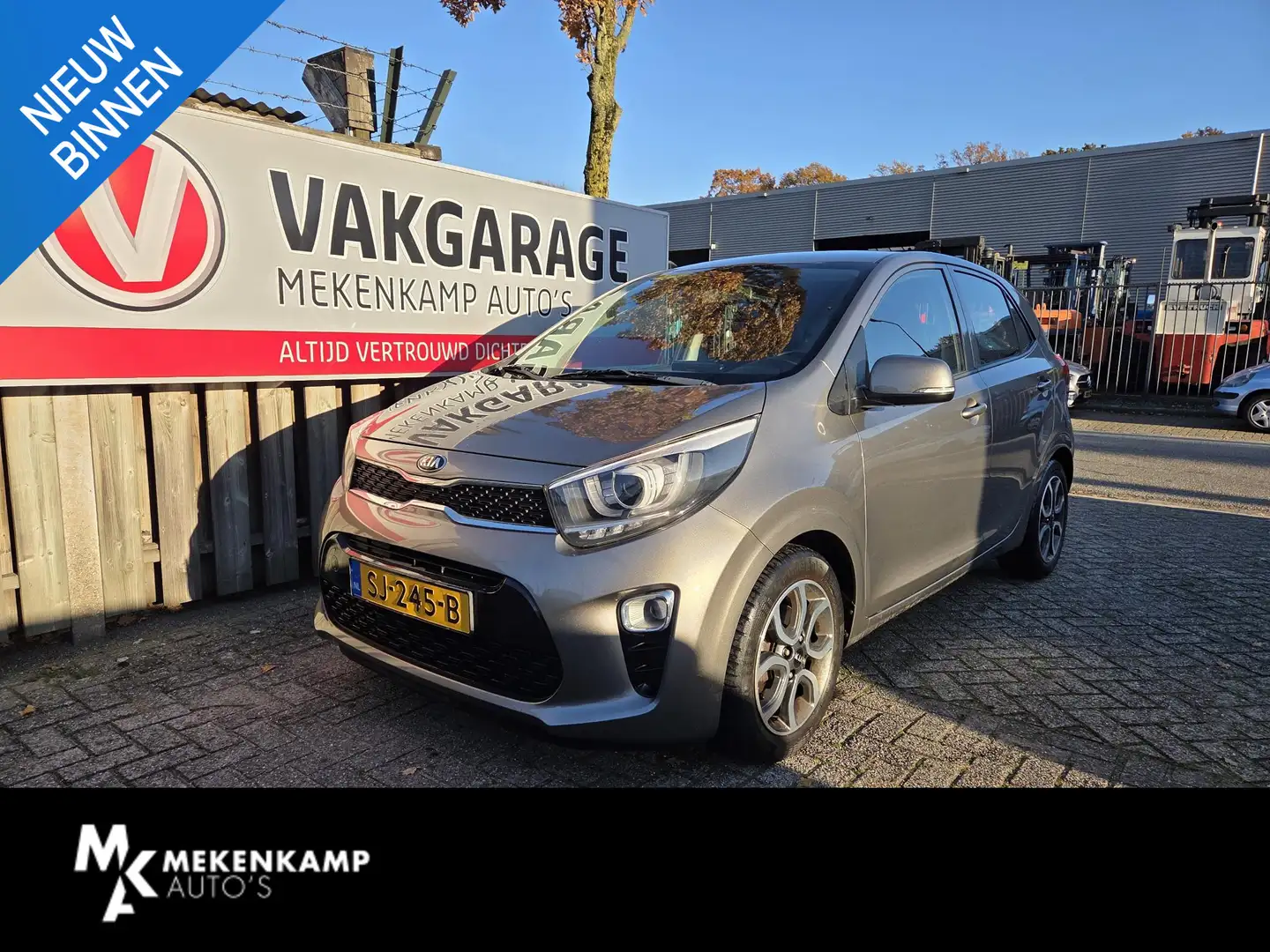 Kia Picanto 1.0 CVVT DynamicPlusLine 15"/Navigatie/Camera/Clim Grijs - 1