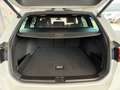 Volkswagen Passat R-Line 4Motion 2.0 TDI Weiß - thumbnail 34