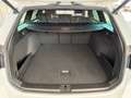 Volkswagen Passat R-Line 4Motion 2.0 TDI Weiß - thumbnail 36