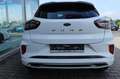 Ford Puma ST-Line Vignale 1.0 EcoB. MHEV ACC PANO Білий - thumbnail 8